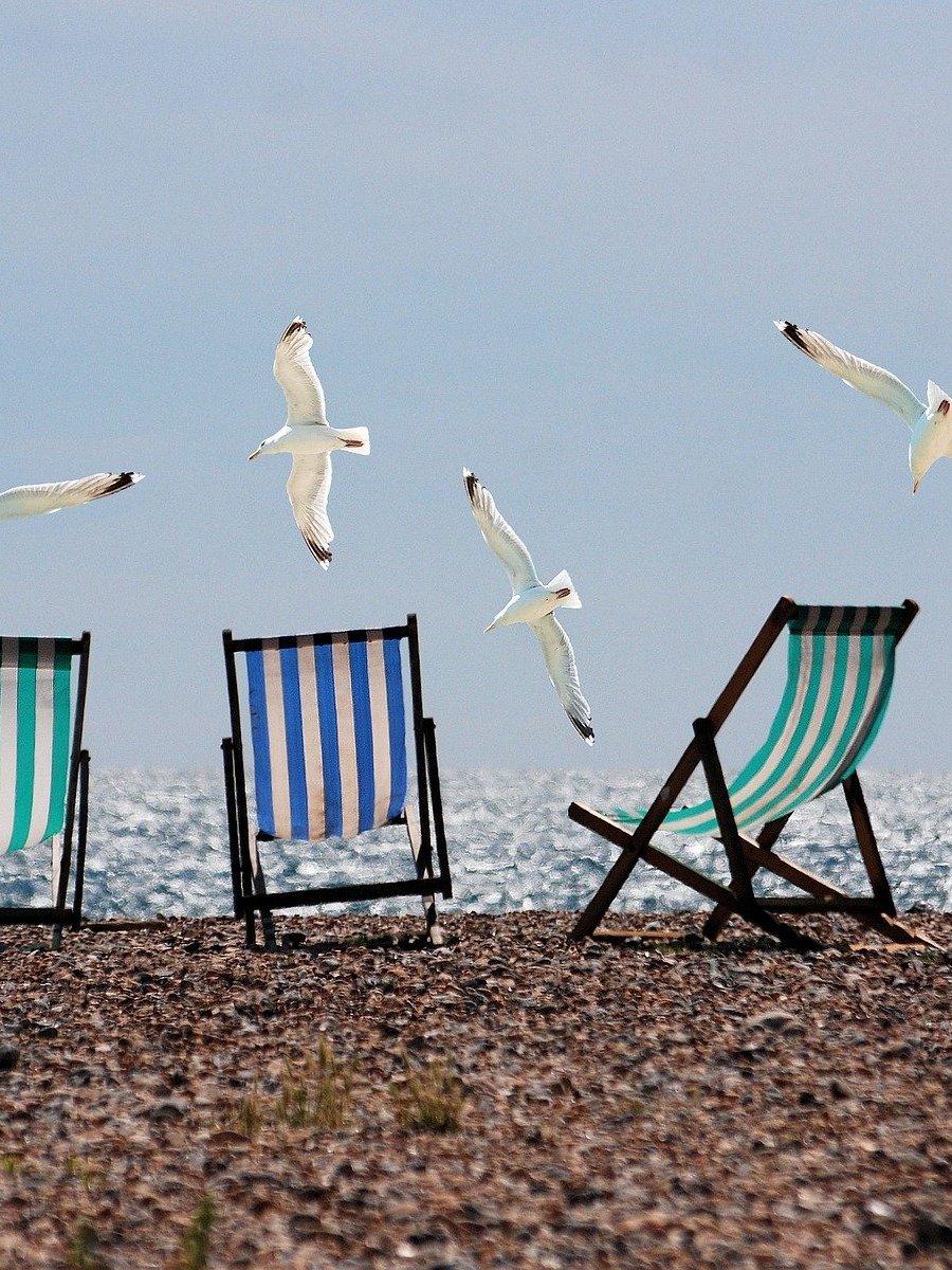 Estate: ricette di felicità&nbsp;cercasi