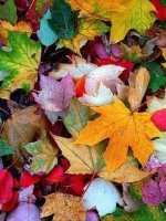 La meraviglia è ancora&nbsp;possibile